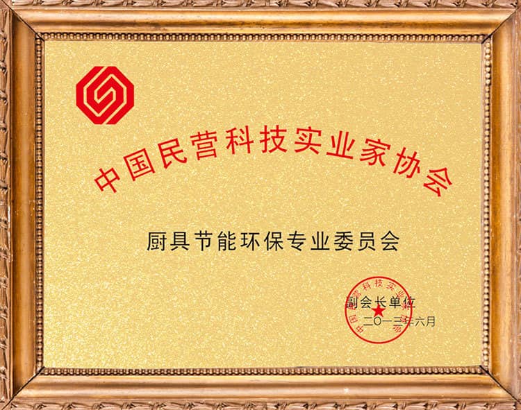 中國(guó)民營(yíng)科技實(shí)業(yè)家