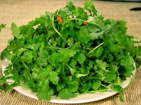 火鍋食材的選擇搭配(圖3) 火鍋食材的選擇搭配(圖3)