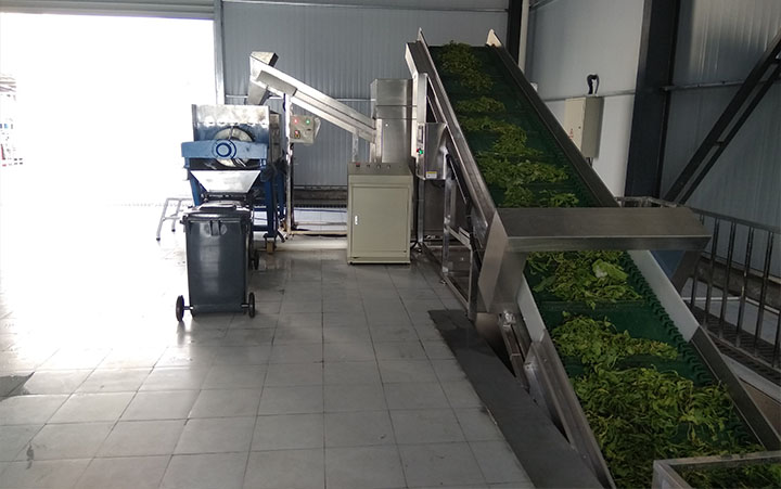 有機垃圾處理系統(tǒng) 有機垃圾處理系統(tǒng)